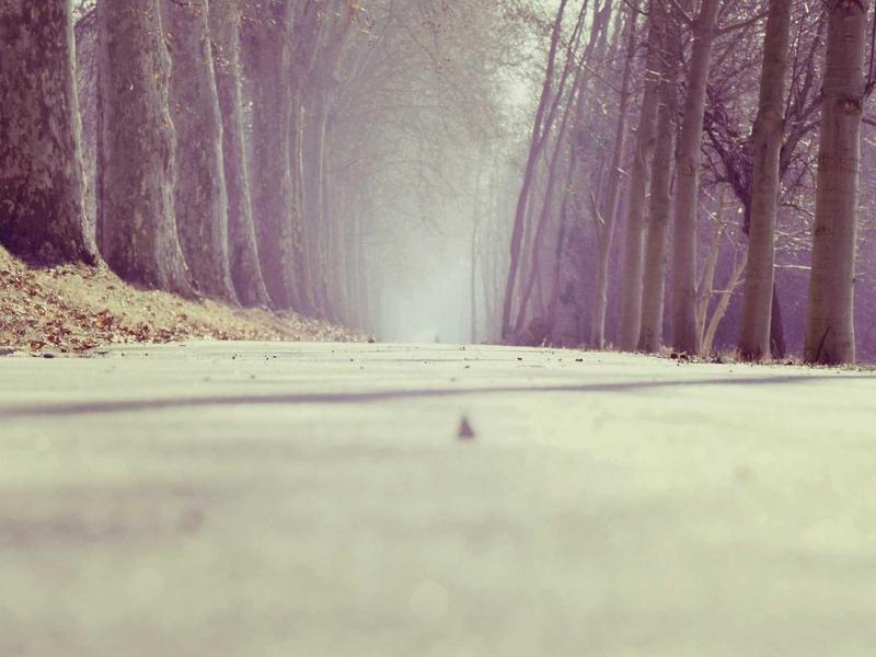 Telefon Numarası Doğrulama Yöntemleri: Dijital Güvenliğinizin Temel Taşı